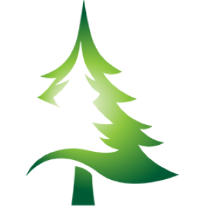 tree-raffle Tree Raffle at Festival of Trees