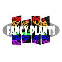Fancy Plants